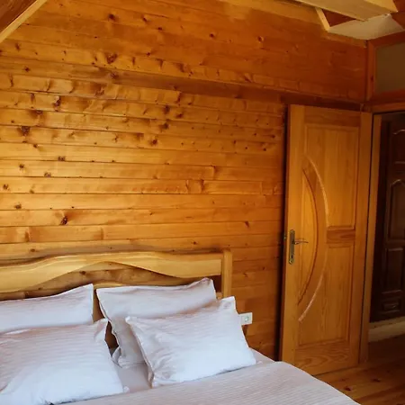 Willa Planinska Kuca Popovic 3 Ljubos